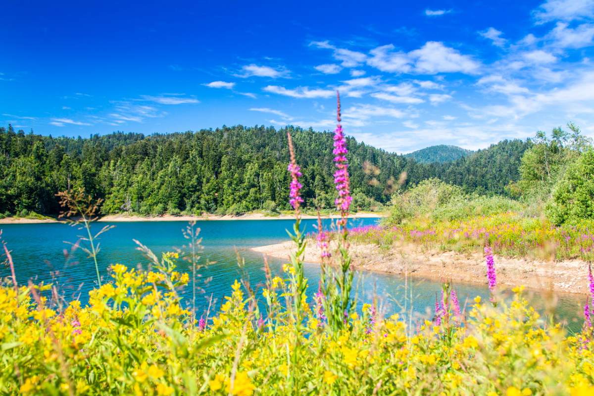 Il lago Lokvarsko